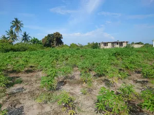 Kiwanja Kinauzwa Bagamoyo Kaole