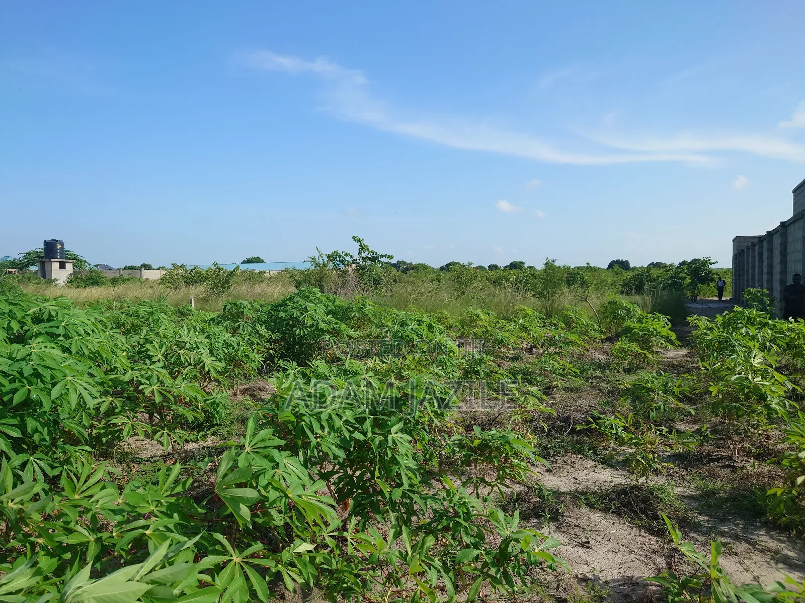 Kiwanja Kinauzwa Bagamoyo Kaole