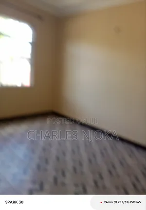 1bdrm Apartment in Tanzania Dare Salaam for rent