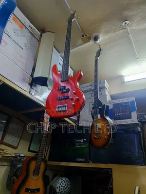Electrical Solo Guitee