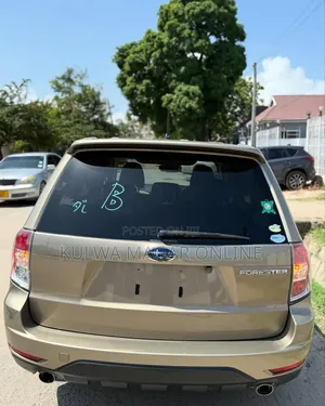 Subaru Forester 2010 Gray