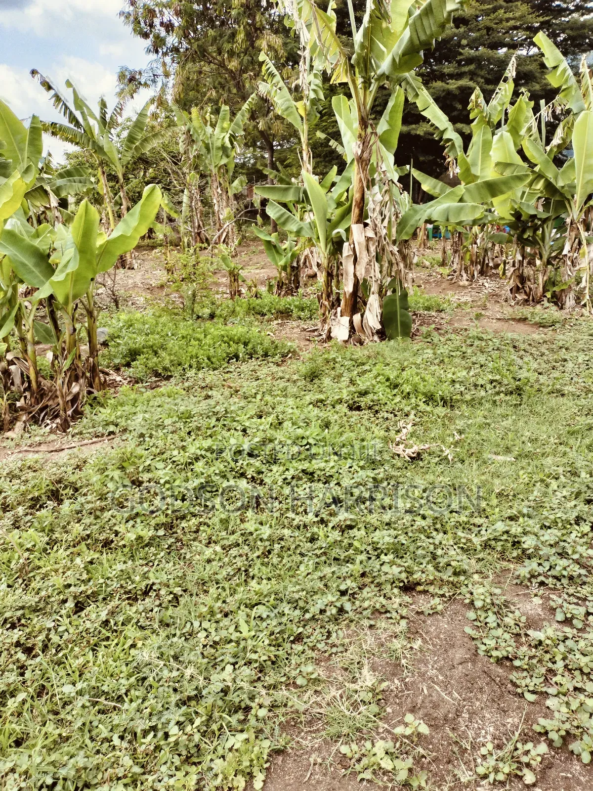 Beautiful Land for Sale in Arusha