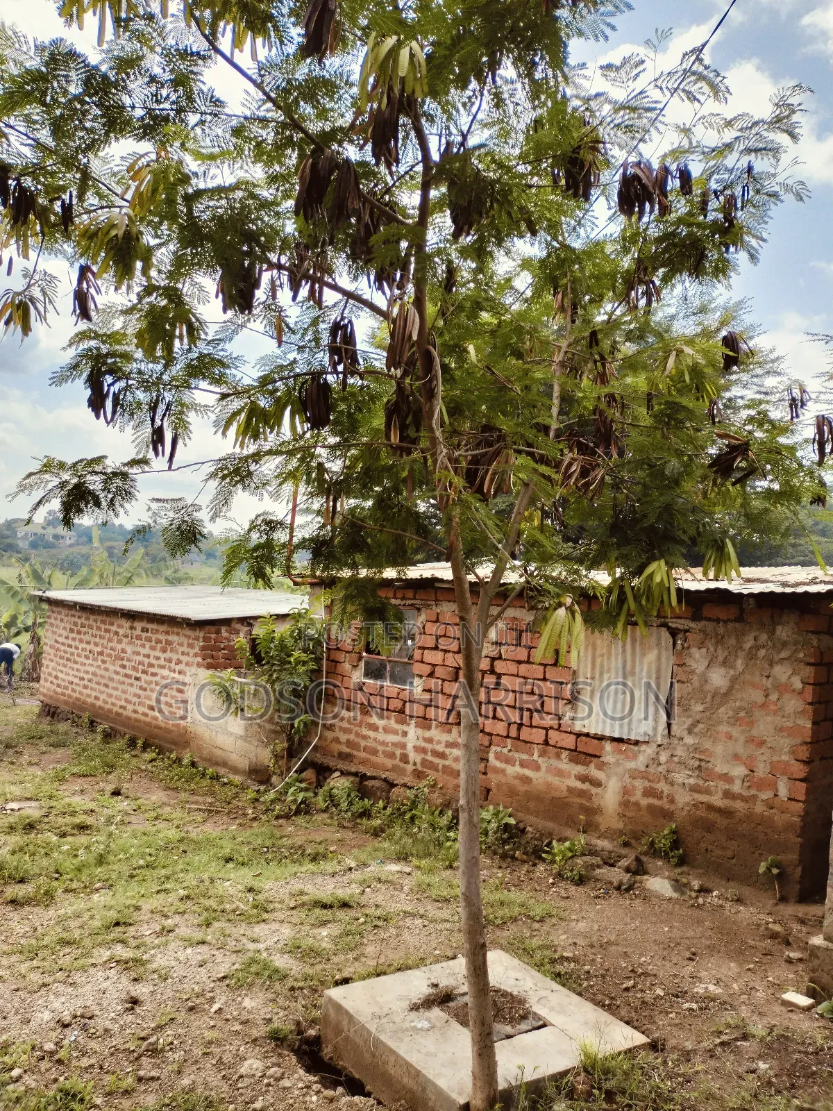 Beautiful Land for Sale in Arusha