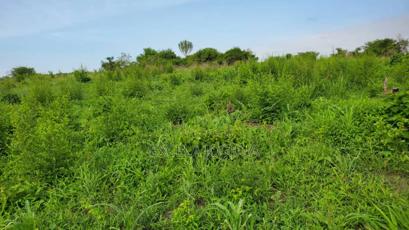 Shamba Ekari 10 Linauzwa Bagamoyo Mwetemo Hotel