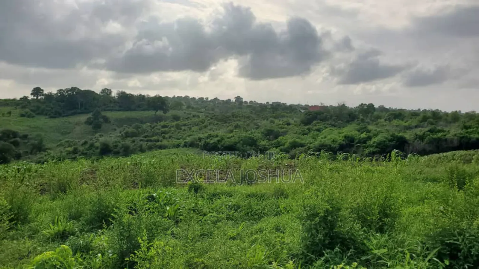 Shamba Ekari 10 Linauzwa Bagamoyo Mwetemo Hotel