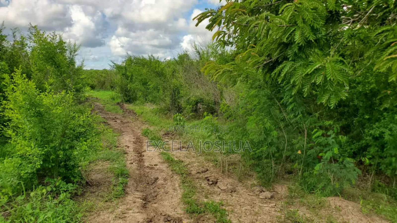 Shamba Ekar 100 Linauzwa Bagamoyo Mwetemo Hotel