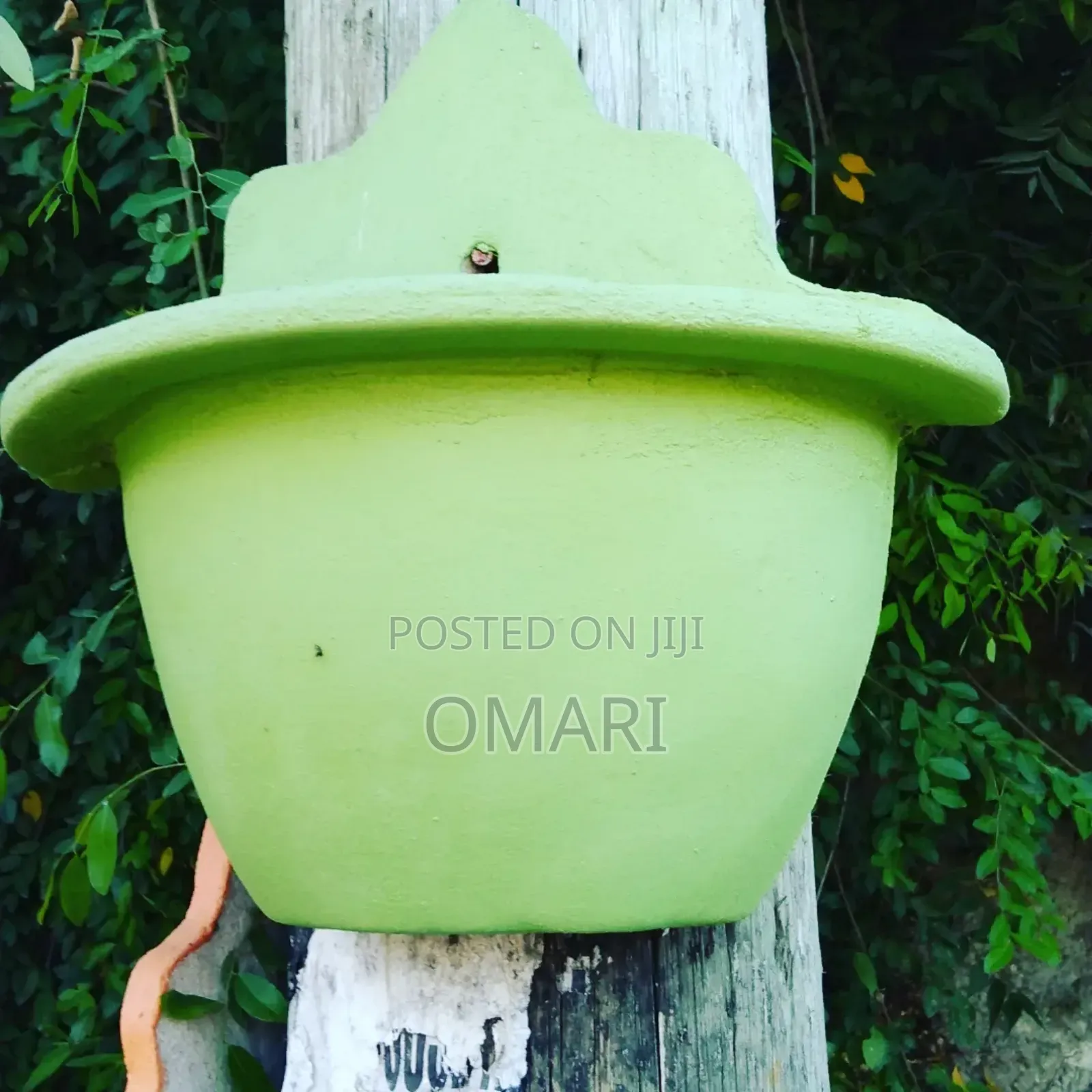 Cement Flower Pots