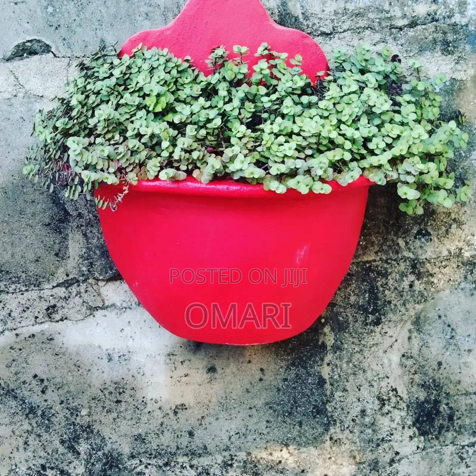Cement Flower Pots