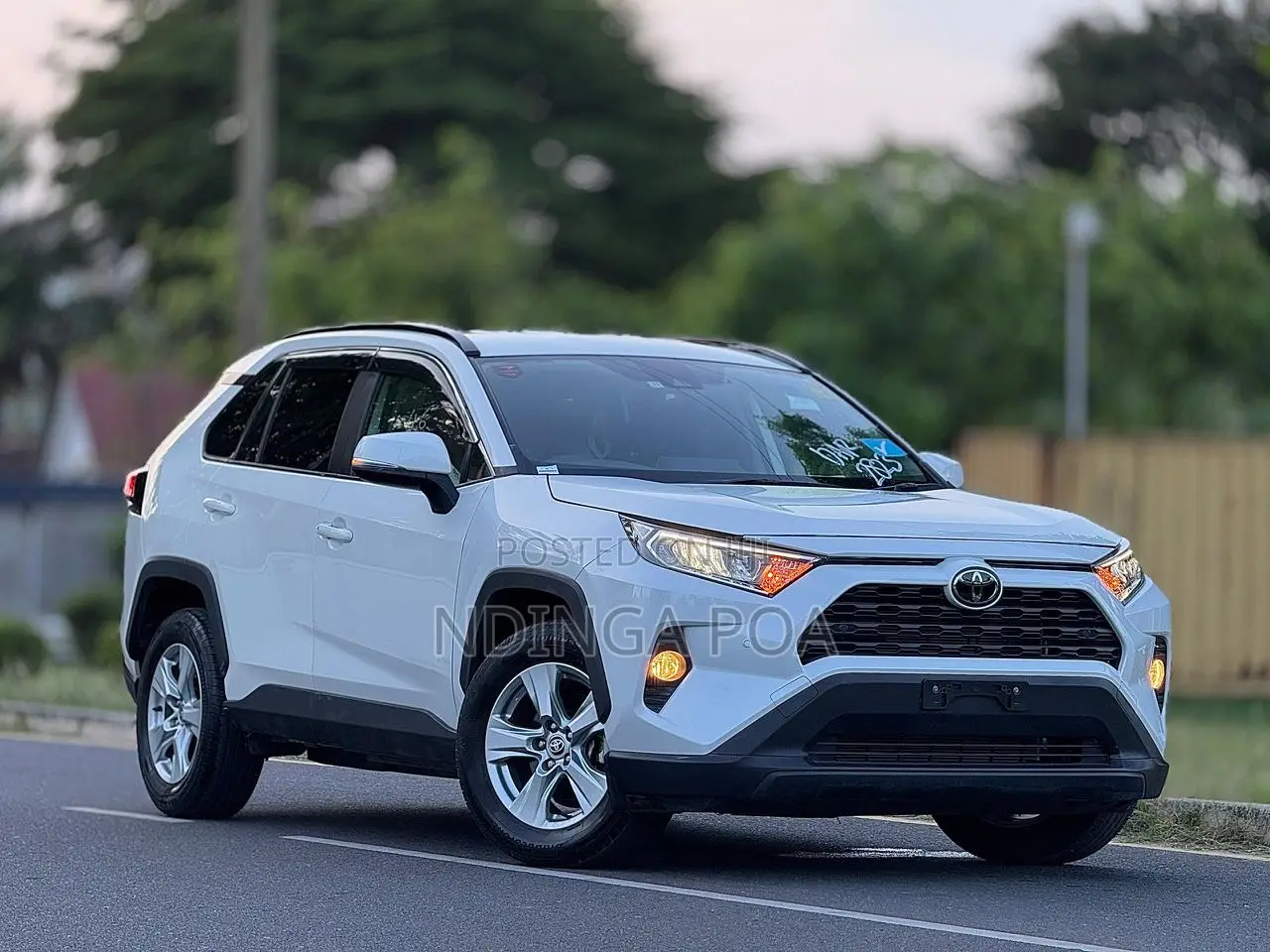 Toyota RAV4 Adventure 2019 White