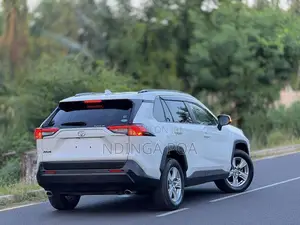 Toyota RAV4 Adventure 2019 White