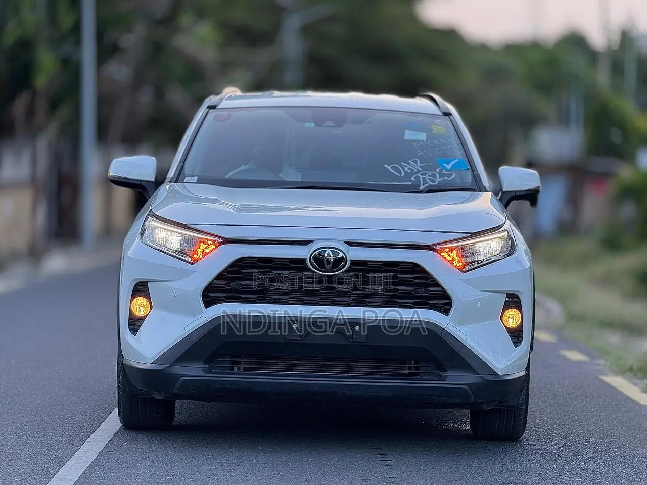 Toyota RAV4 Adventure 2019 White