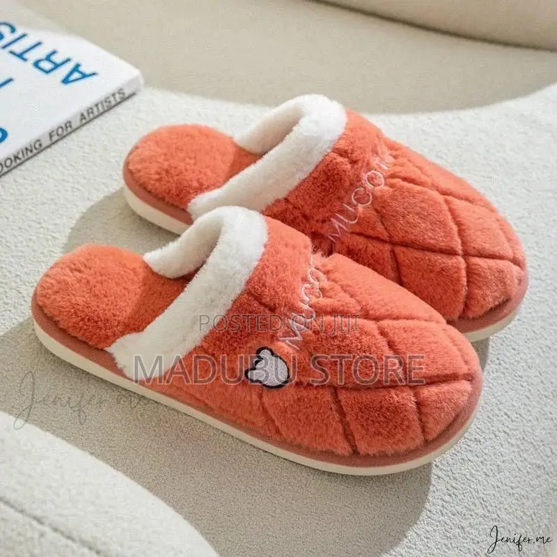 Indoor Shoes