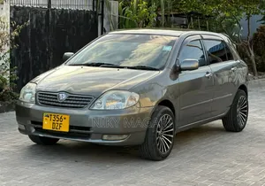 Toyota Allex 2008 Gray