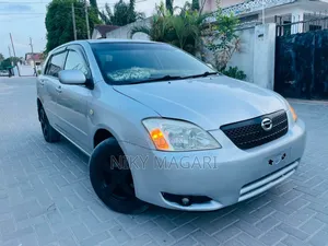Toyota Allex 2006 Silver