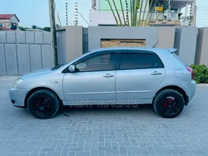 Toyota Allex 2006 Silver