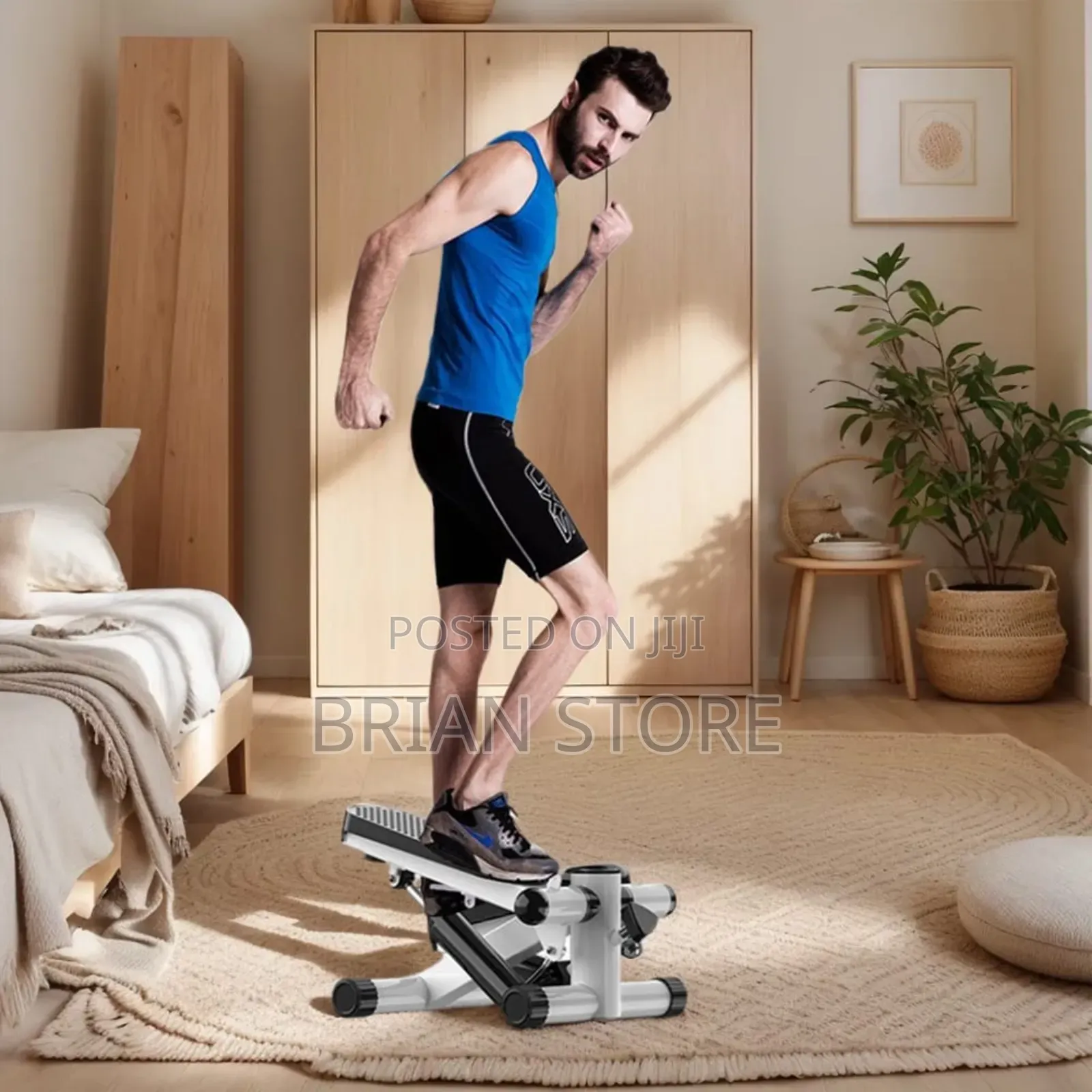 Mini Stepper Machine