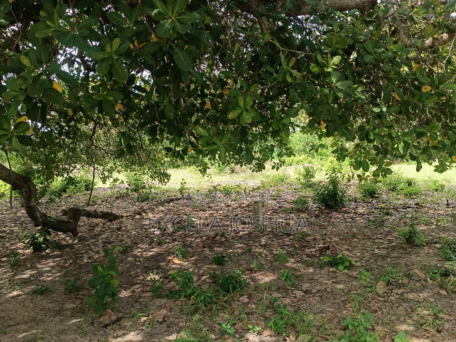 Viwanja Vinauzwa Bagamoyo Fukayosi