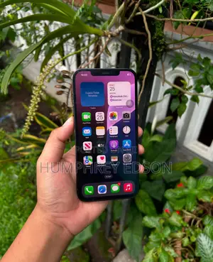 Apple iPhone 12 Pro 256 GB Blue