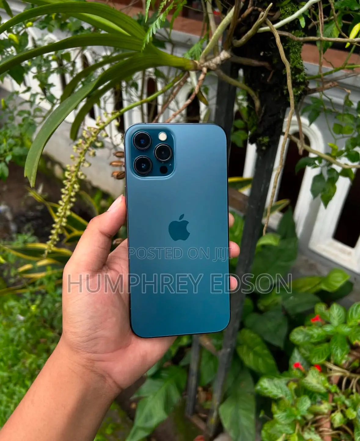 Apple iPhone 12 Pro 256 GB Blue