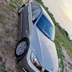 BMW 320i 2007 Gray