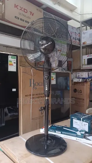 Bajaj Black Stand Fan