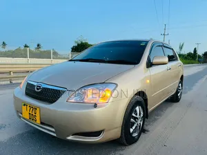Toyota Corolla RunX 2005 Gold
