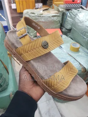 Men's Sandals Timberland Brown