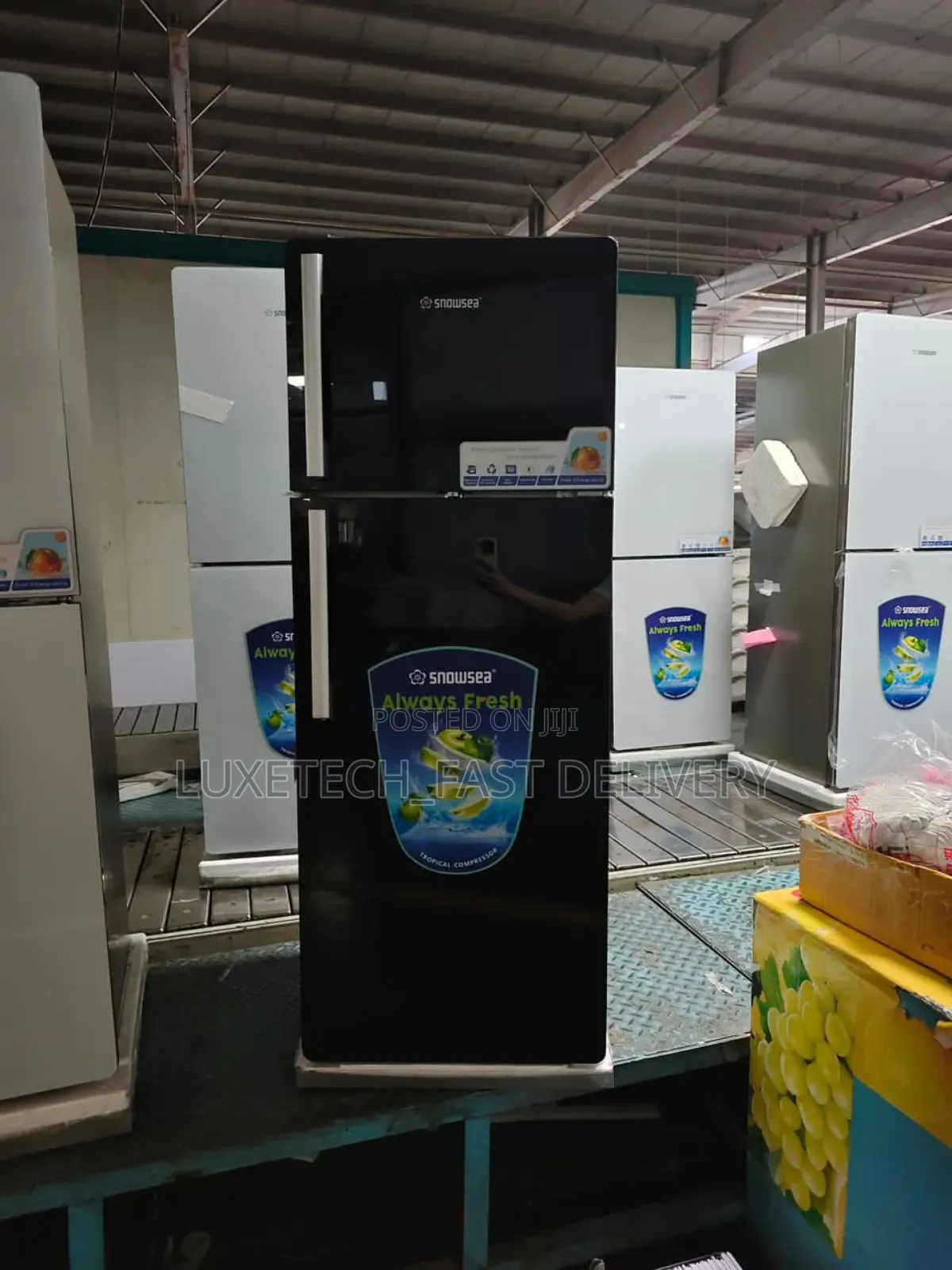 Snowsea Fridge 202L