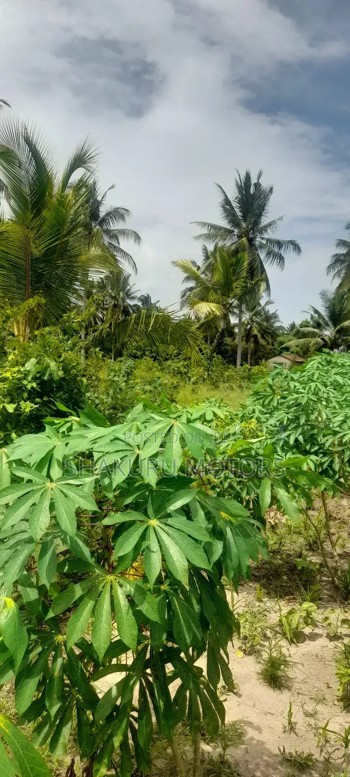 Industry Area 5.079 Hectares