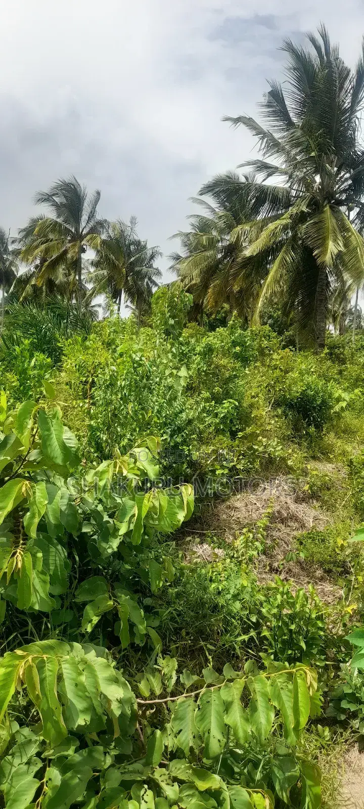 Industry Area 5.079 Hectares