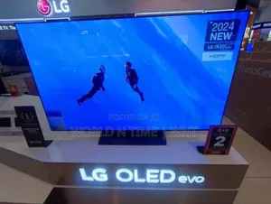 Lg 55 Inch Class Oled Evo C4 Smart Tv 2024