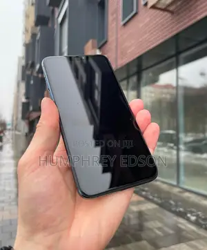Apple iPhone 11 Pro Max 256 GB Gray