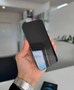 New Apple iPhone 12 Pro Max 256 GB Blue