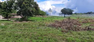 Vigwaza Kambini Karibu Na Bandari Kavu Ya Kwala