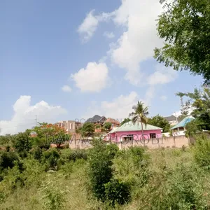 Kiwanja Kina Title Deed Ukubwa QMT 2300 Milion 75
