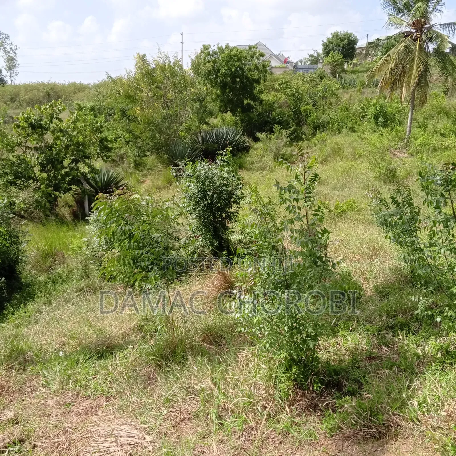 Kiwanja Kina Title Deed Ukubwa QMT 2300 Milion 75