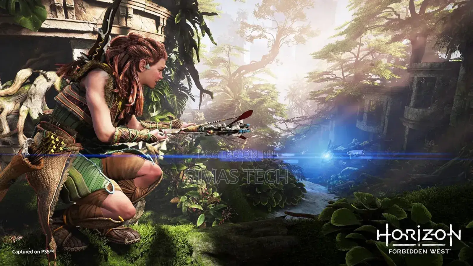 Horizon Forbidden West Playstation 5