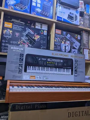 Electric Keyboard Bigfun