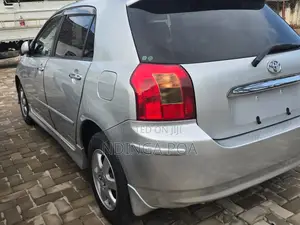 Toyota Allex 2005 Silver