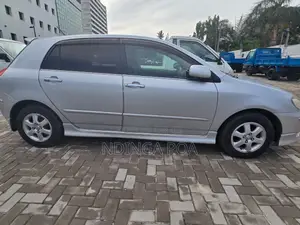 Toyota Allex 2005 Silver