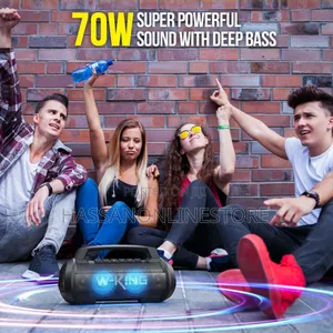 W-King D10 - 70w Portable Speaker