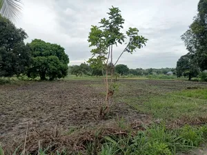 Kiwanja Mkeka Kibamba Karibu Na Lami