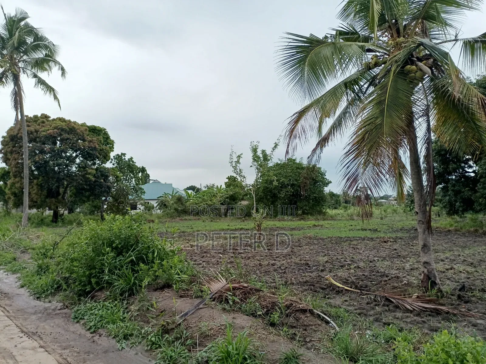 Kiwanja Kibamba Shule Sqm800