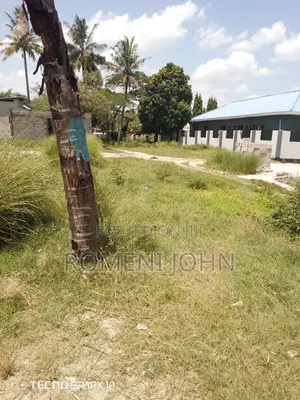 Kiwanja Sqmita 600 Kinauzwa Milioni 16.5 Ukonga Kwa Diwani.