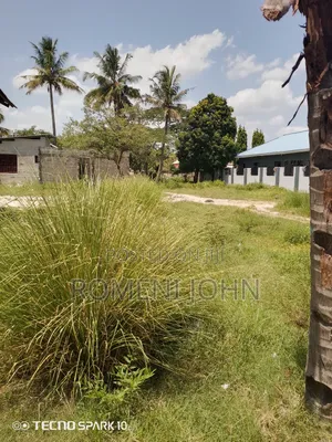 Kiwanja Sqmita 600 Kinauzwa Milioni 16.5 Ukonga Kwa Diwani.