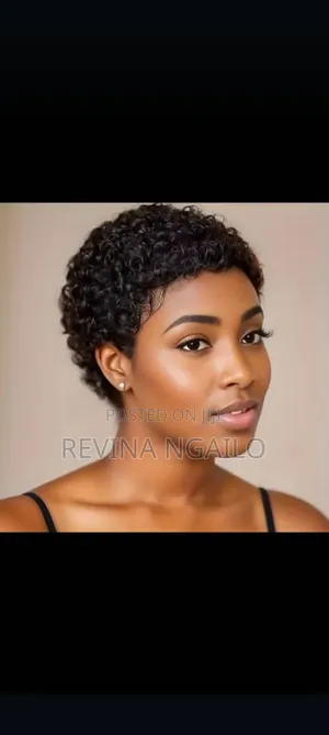 Human Hair Wigs