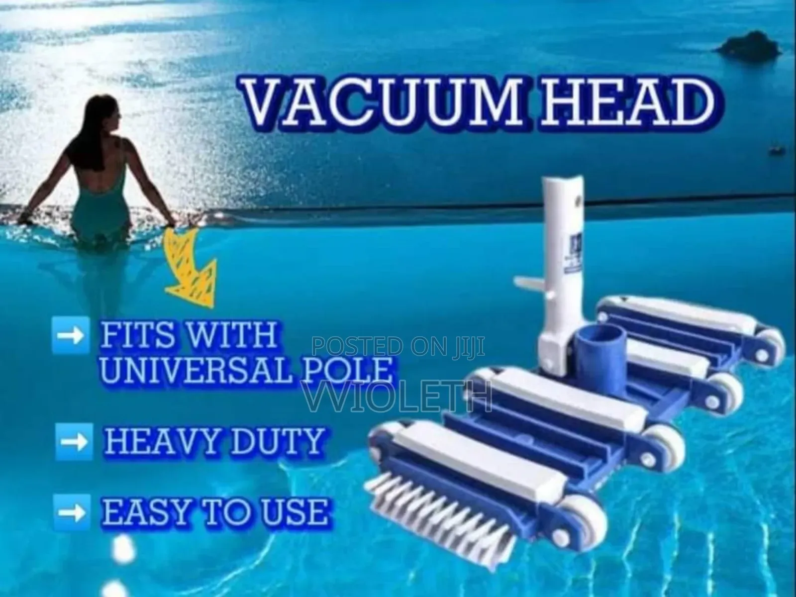 Pool Ladders