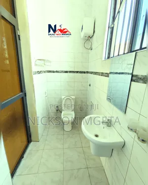 2bdrm Apartment in Dalali_Nick_Mwanza, Kiseke for rent