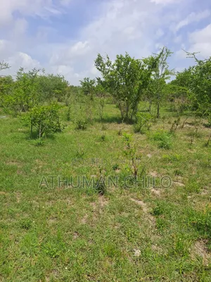 Eneo Linauzwa Kiwangwa Bagamoyo Pwani