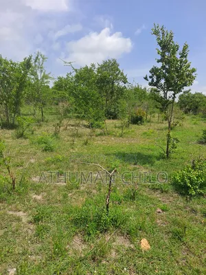 Eneo Linauzwa Kiwangwa Bagamoyo Pwani